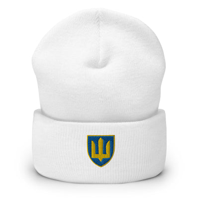 Ukrainian Military Emblem 1 Colored Cuffed Beanie Embroidery
