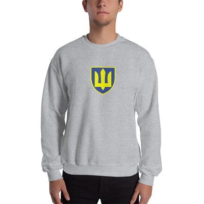 Ukrainisches Militäremblem 1 groß farbig Sweatshirt-Print